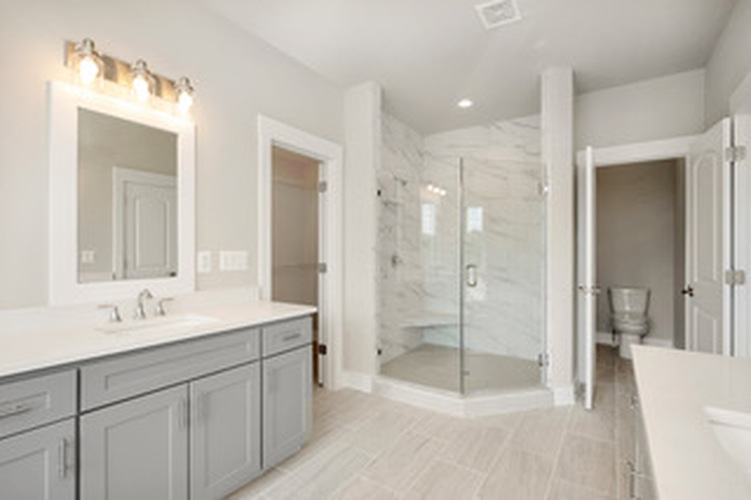 Forest Hill Maryland house bath primary